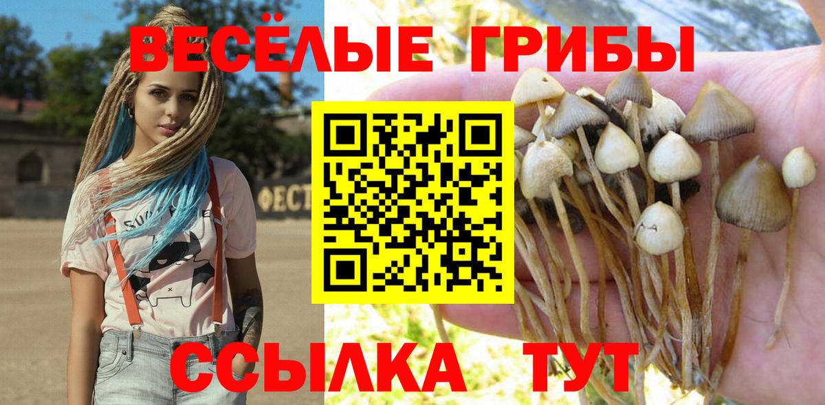Псилоцибиновые грибы MAGIC MUSHROOMS  закладки  Рассказово  Вход с VPN 