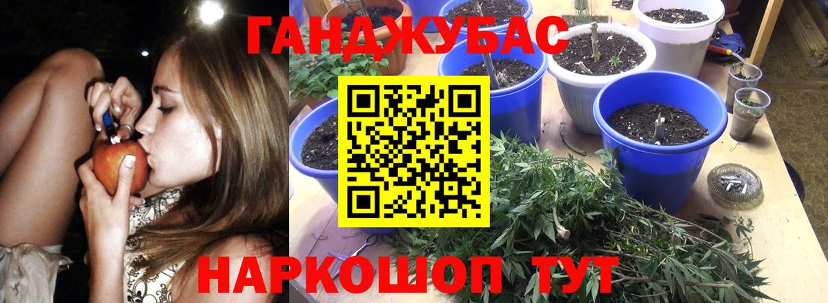 Конопля гибрид Рассказово